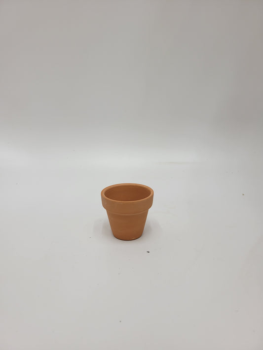 Terracotta Tiny