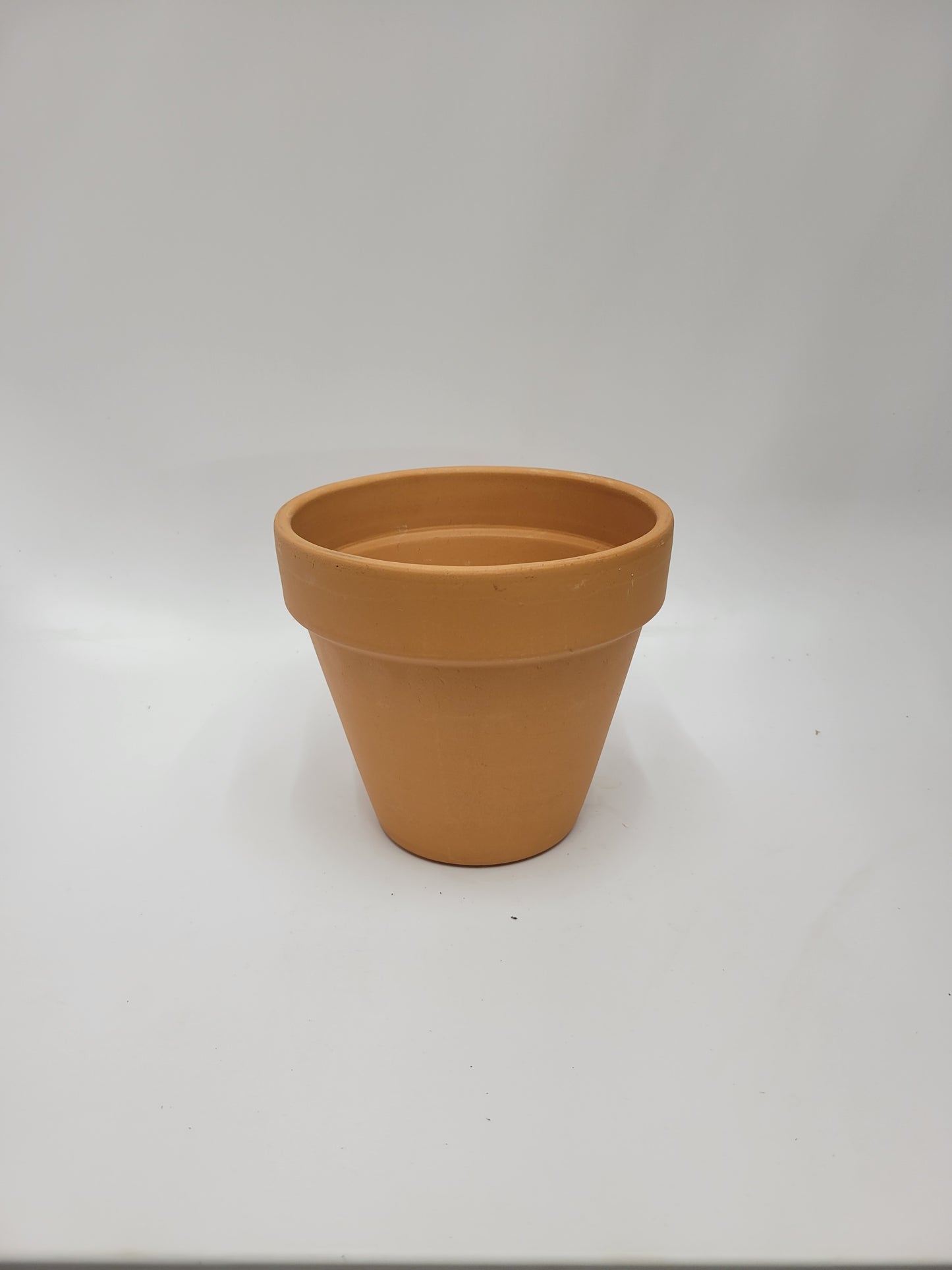 Terracotta 6"